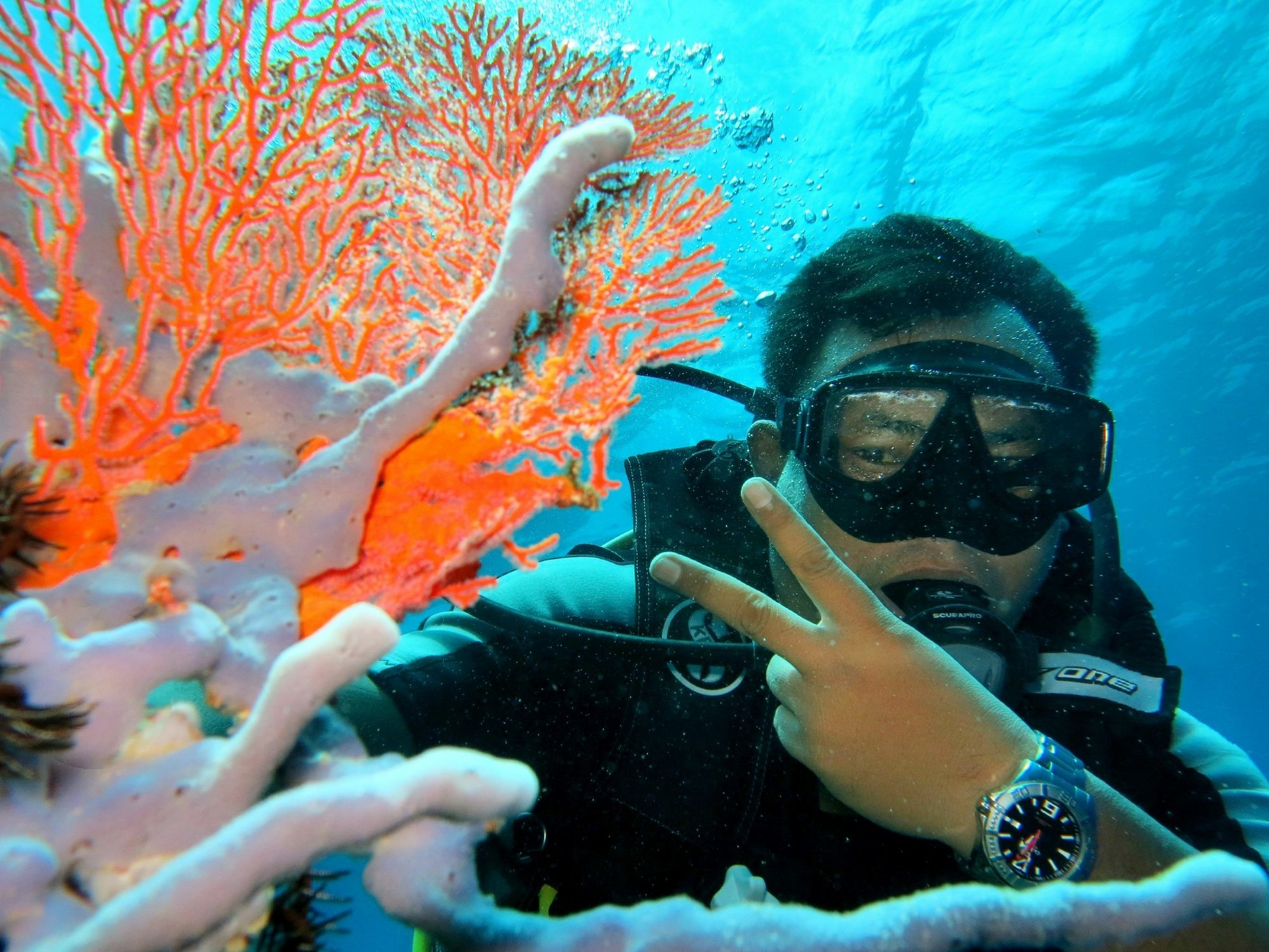 La Bella Guest House Pemuteran  Luaran gambar